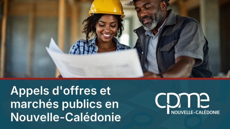 Appels d&rsquo;offres et marchés publics en Nouvelle-Calédonie : le guide PME