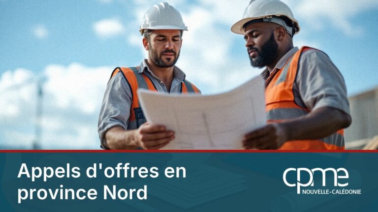 Appels d&rsquo;offres en province Nord : le guide PME