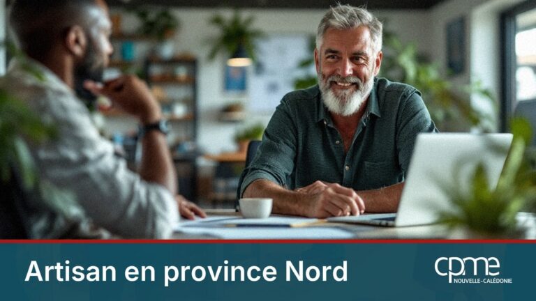 Vue large de la zone VKP autour de Koné, principal pôle artisanal de la province Nord en Nouvelle-Calédonie.