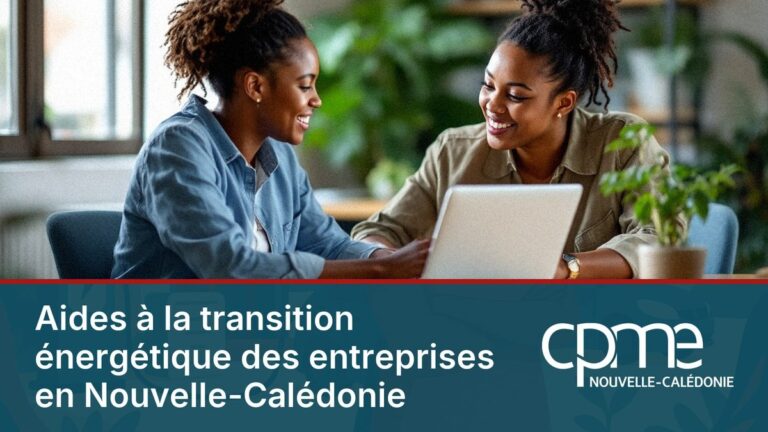 Aides à la transition énergétique des entreprises en Nouvelle-Calédonie : ACE, provinces, défiscalisation